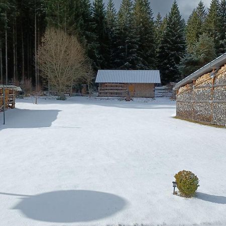 Ferienwohnung Gabi Forbach Esterno foto