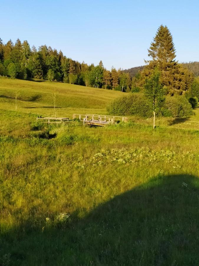 Ferienwohnung Gabi Forbach Esterno foto
