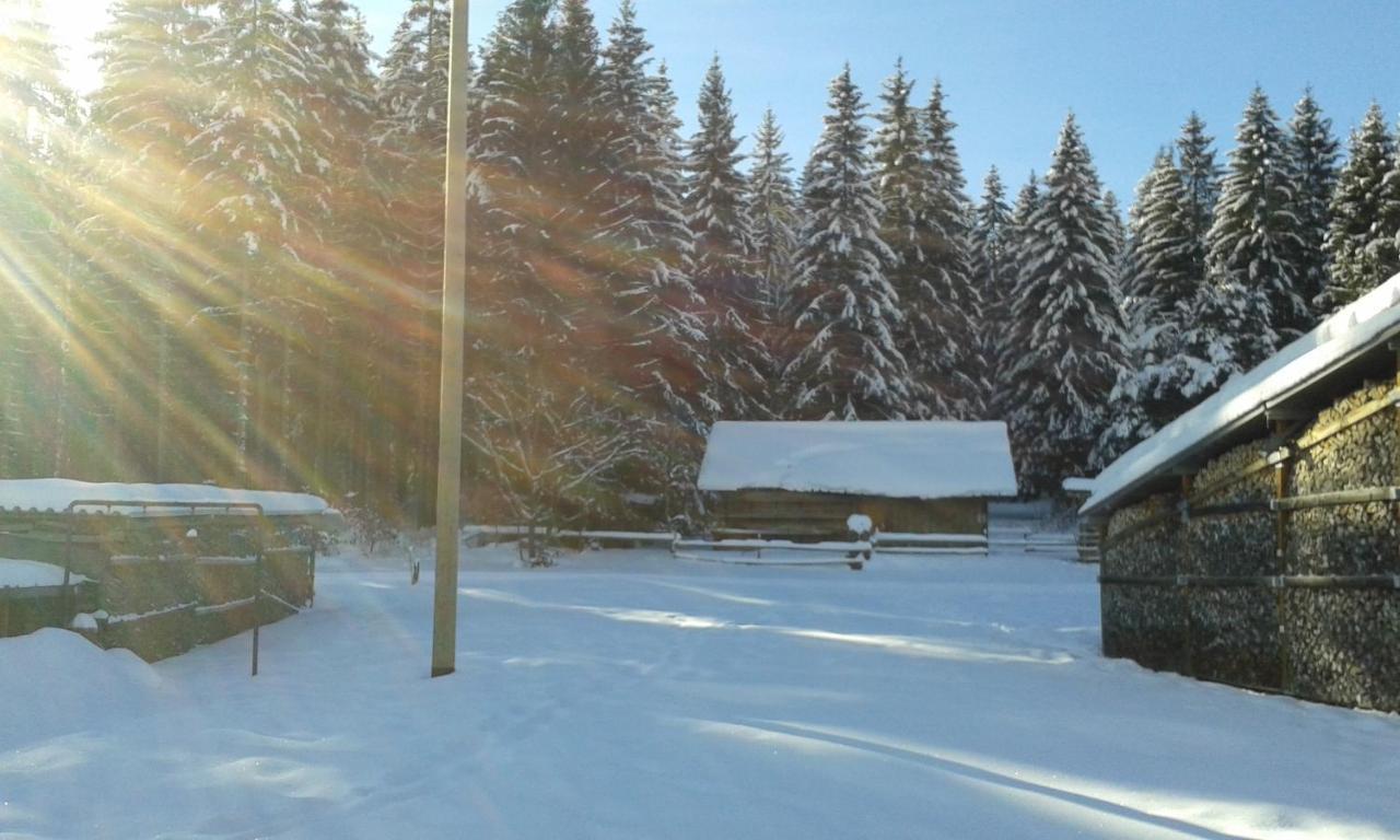 Ferienwohnung Gabi Forbach Esterno foto