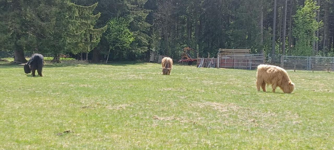 Ferienwohnung Gabi Forbach Esterno foto