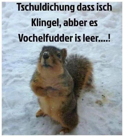 Ferienwohnung Gabi Forbach Esterno foto