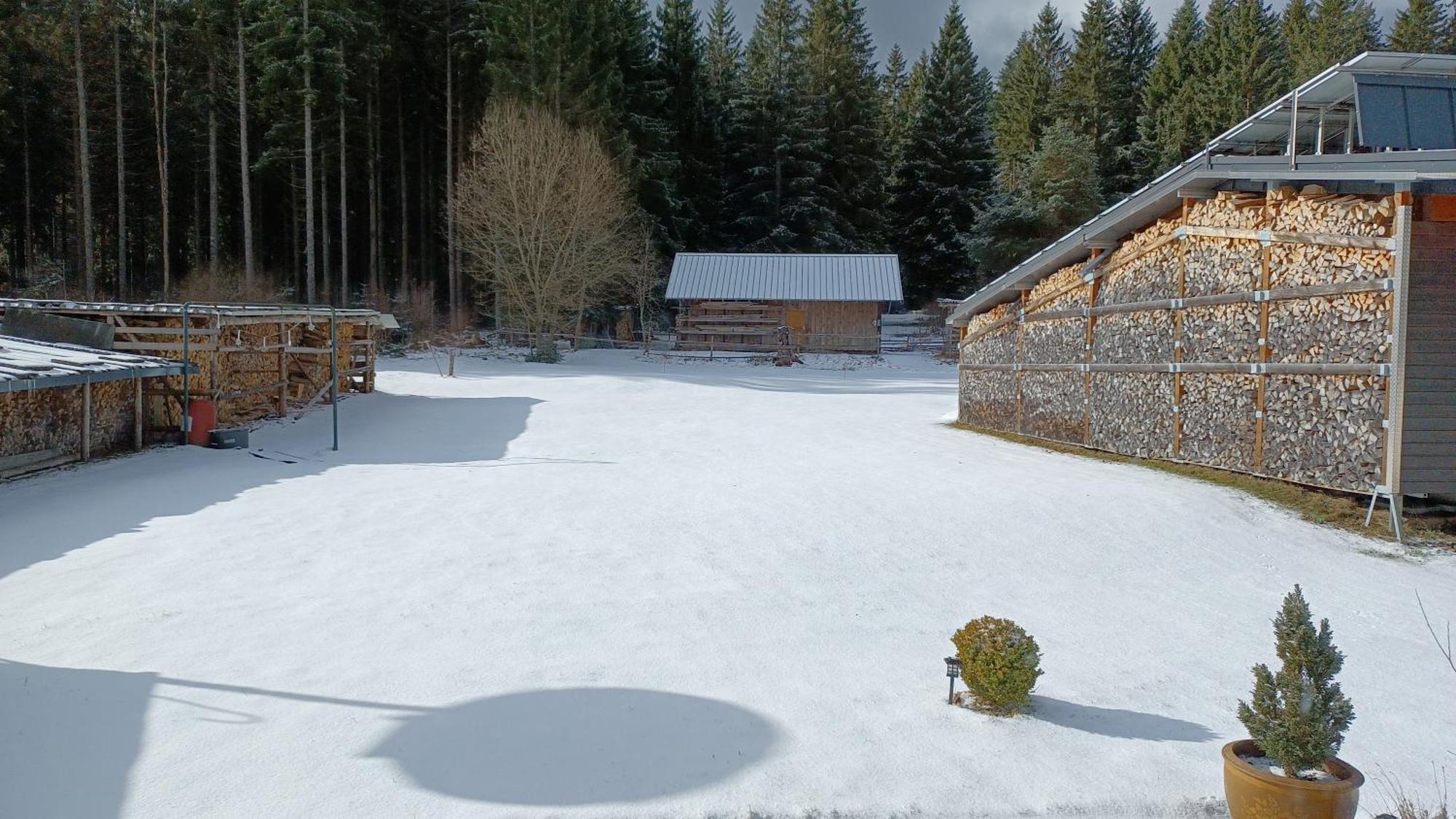 Ferienwohnung Gabi Forbach Esterno foto
